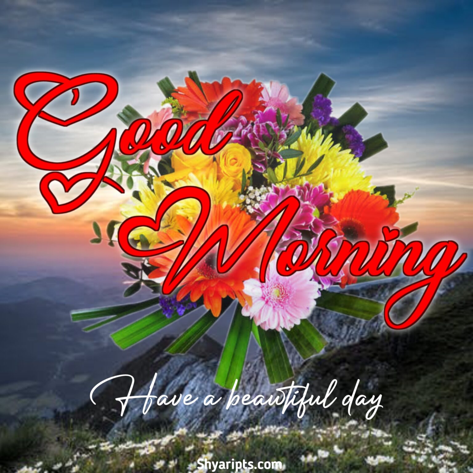 30+New good morning imagesNew Good mrning images good morning quoets